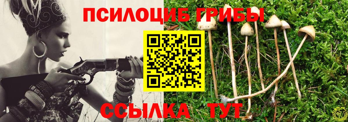 Псилоцибиновые грибы Psilocybine cubensis Чайковский