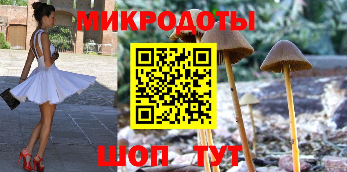 Чайковский  Псилоцибиновые грибы Psilocybine cubensis  Вход с VPN 
