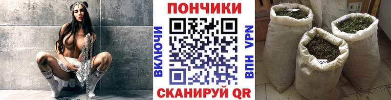 Бошки марихуана ГИДРОПОН  дарнет шоп  Чайковский 